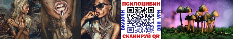 Псилоцибиновые грибы Psilocybe  Купить  Петушки 
